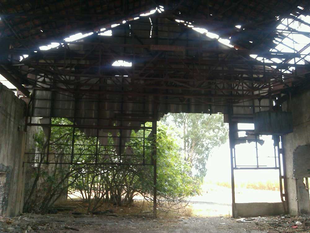 Nuevo expolio en El Cerco