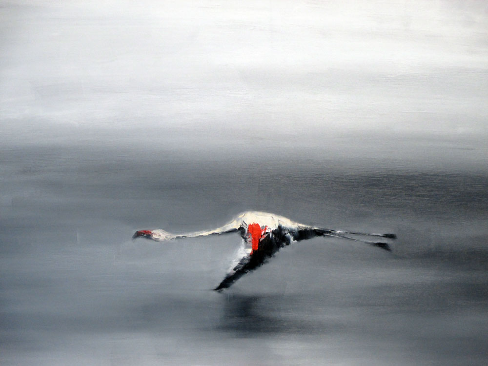 �leo de Jos� C�ndido Carballo Santiago