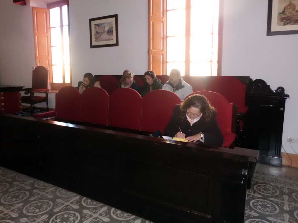 Sesi�n plenaria del mes de Diciembre en Pe�arroya